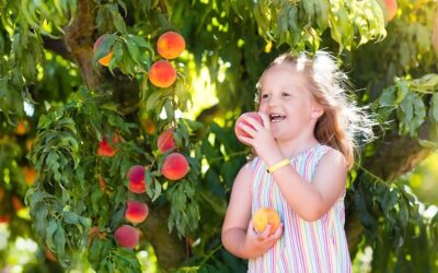 Summer Events Bringing the South Okanagan Together