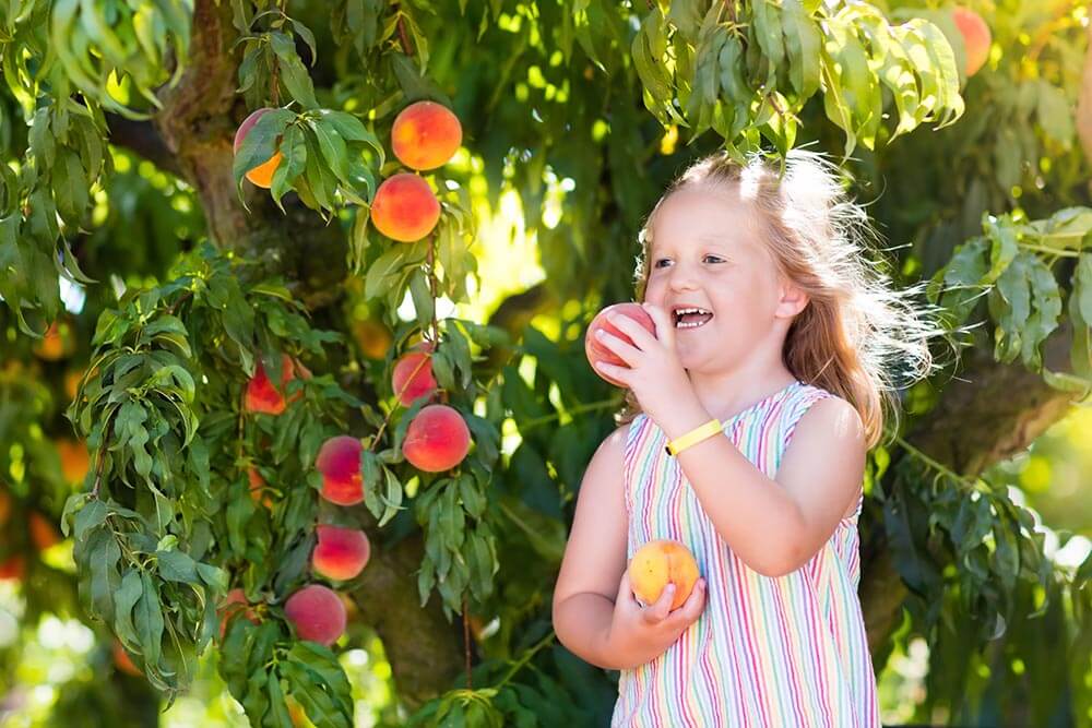 Summer Events Bringing the South Okanagan Together